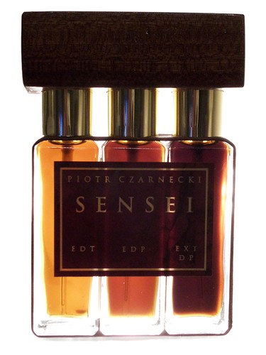 Shihan (Sensei) by Piotr Czarnecki