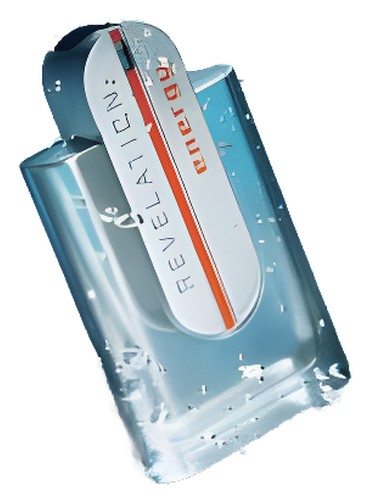 Revelation Energy by Pierre Cardin