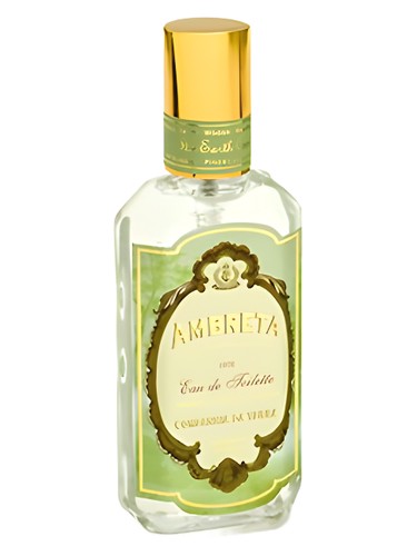 Ambreta by Companhia da Terra