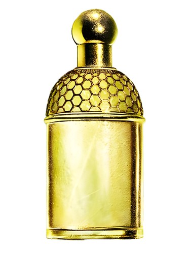 Aqua Allegoria Laurier