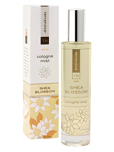 Shea Blossom by TerraNova