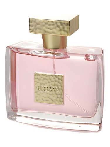 Urban Edition Women by Prime Collection