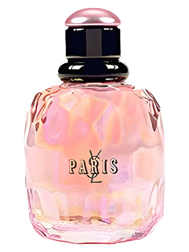 Paris Pont des Amours