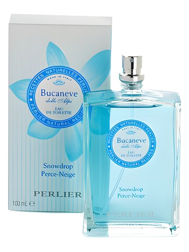 Bucaneve (Snowdrop) by Perlier