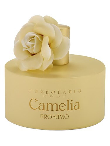 Camelia