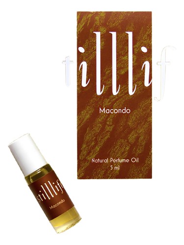 Macondo by STILLLIFE