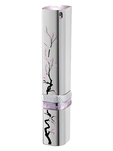 Iris of Florence by Cigar