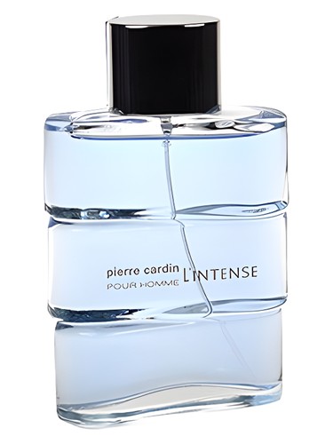Pierre Cardin pour Homme l'Intense by Pierre Cardin