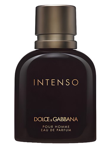 Dolce&Gabbana Pour Homme Intenso Dolce&Gabbana cologne by Dolce Gabbana