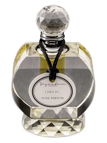 Endure by Signature Fragrances