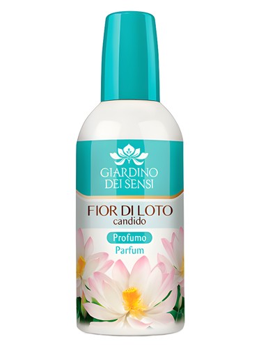 Fior di Loto Candido
