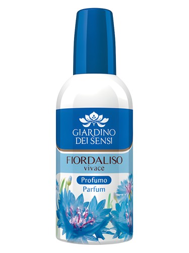 Fiordaliso Vivace