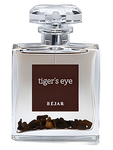 Tiger's Eye by Bejar