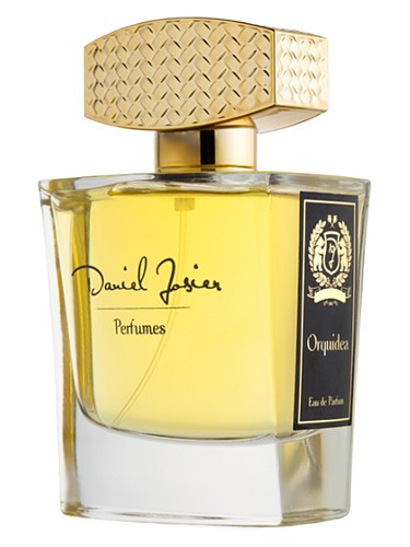 Orquidea Negra by Daniel Josier