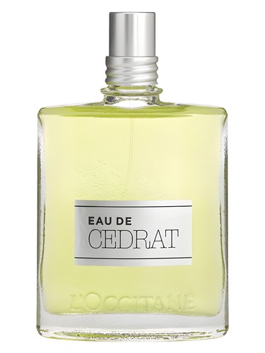 Eau de Cedrat L'Occitane en Provence cologne by L Occitane en Provence