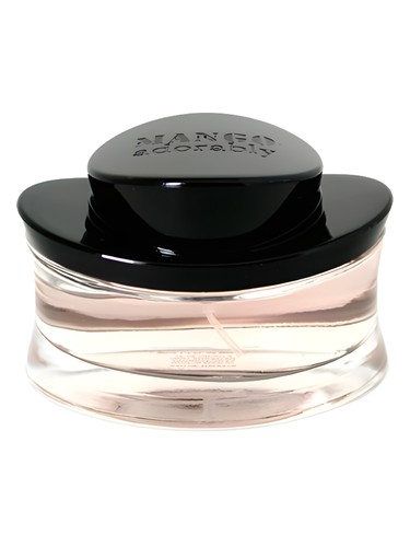 Mango Adorably by Mango