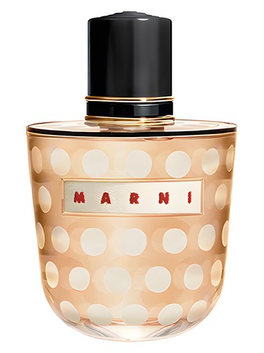 Marni Spice by Marni