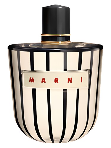 Marni Luxury Edition Rose Eau de Parfum by Marni