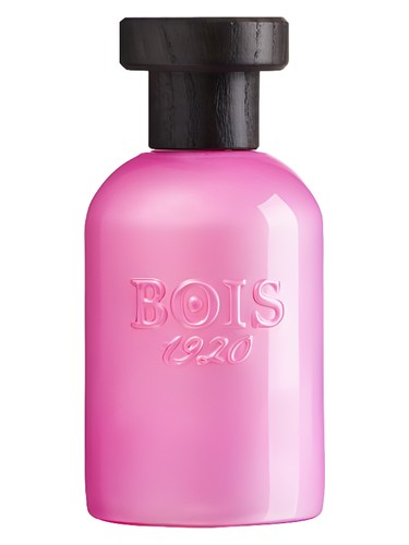 Rosa di Filare by Bois 1920