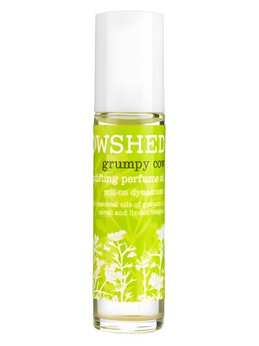 Grumpy Cow by Cowshed