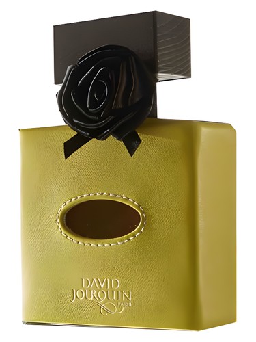 Cuir Solaire by David Jourquin