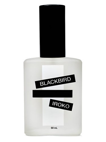 Iroko by Blackbird