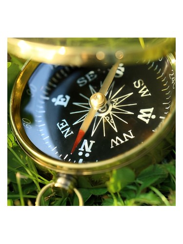 Malabar by Code Deco