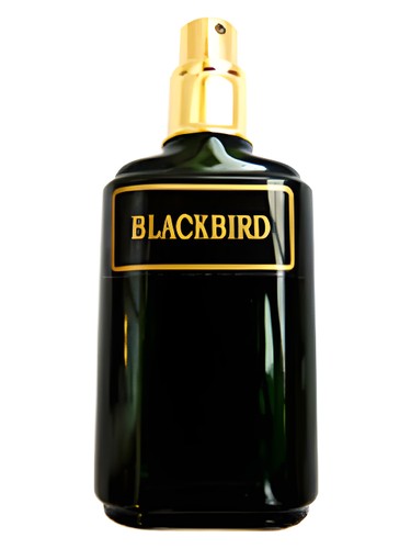 Blackbird by Meshaz Natural Perfumes