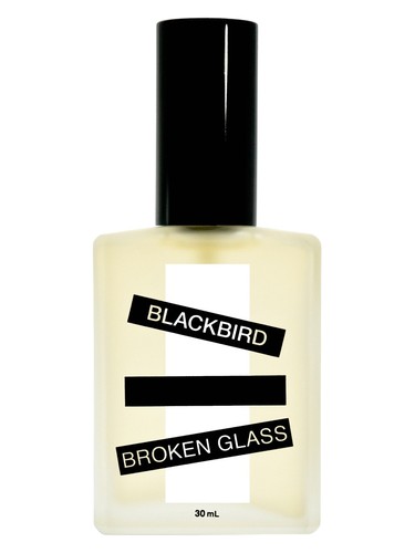 Broken Glass by Blackbird