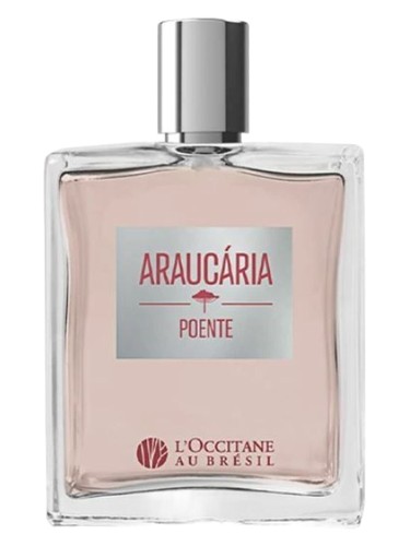 Araucária Poente L’Occitane Au Brésil cologne by L Occitane Au Bresil
