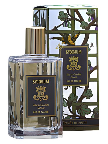 Syconium by Maria Candida Gentile