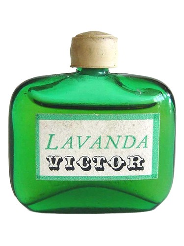 Lavanda by Victor