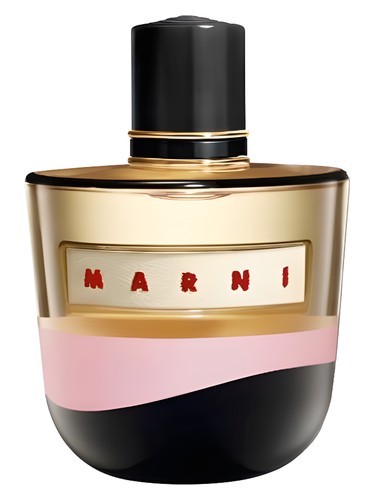 Marni Element by Marni