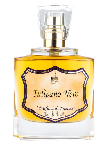 Tulipano Nero