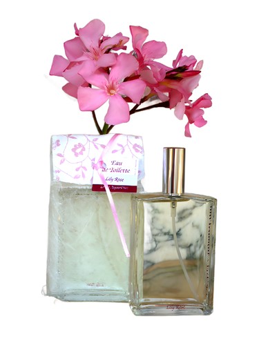 Lily Rose Le Bel Aujourd'hui perfume by Le Bel Aujourd hui
