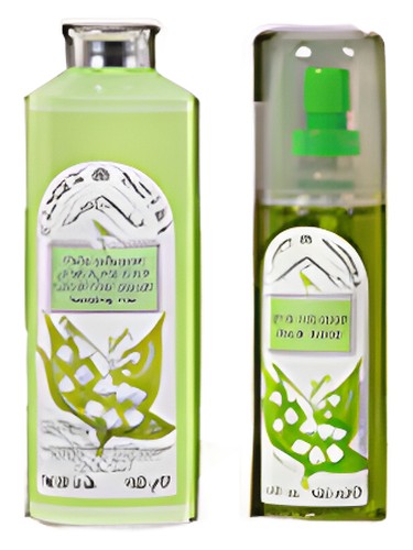 Lily of the Valley by Cliven