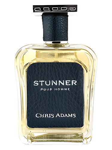 Stunner Pour Homme by Chris Adams