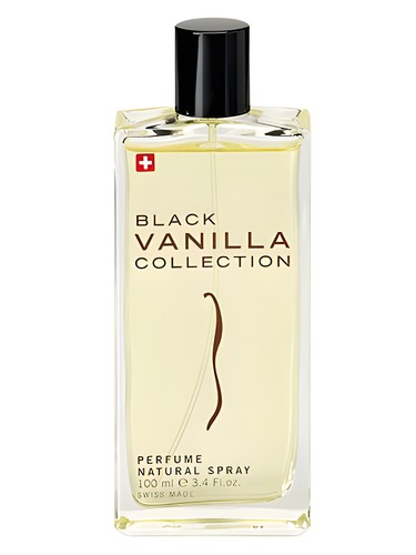 Black Vanilla by Musk Collection