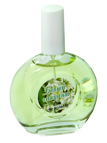 White Hyacinth Белый Гиацинт