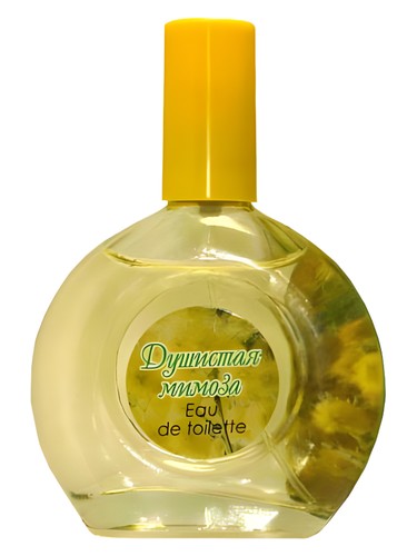 Sweet Mimosa Душистая Мимоза