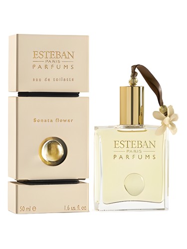 Sonata Flower by Esteban