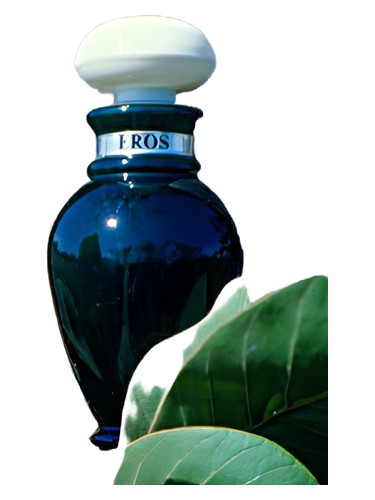 Eros O Boticário cologne by O Boticario