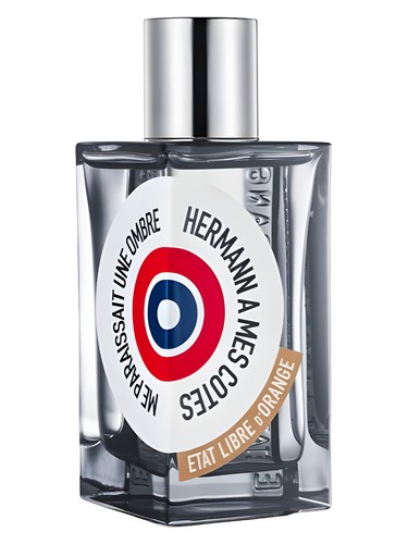 Hermann à mes Côtés me Paraissait une Ombre