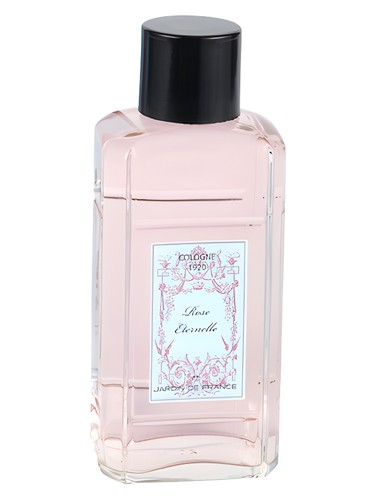 Rose Eternelle by Jardin de France
