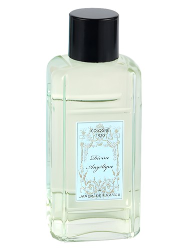 Divine Angelique by Jardin de France