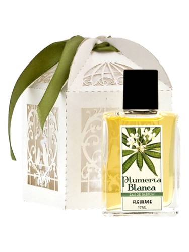 Plumeria Blanca by Fleurage