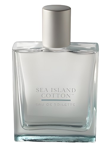 Sea Island Cotton Bath & Body Works perfume by Bath Body Works