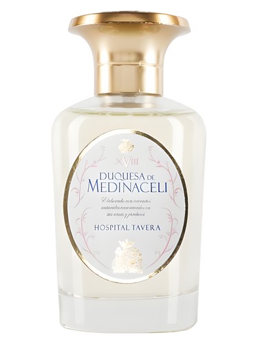 Hospital Tavera by Duquesa de Medinaceli