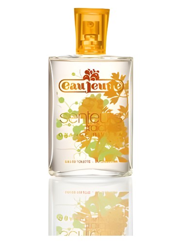 Orange Riviera by Eau Jeune