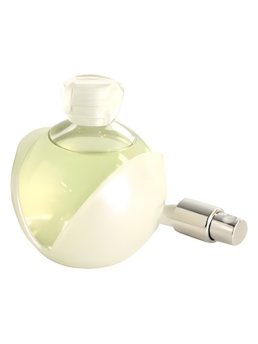 Noa L'Eau de Parfum by Cacharel